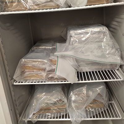 Materials are packed and ready to be frozen in our laboratory freezer.